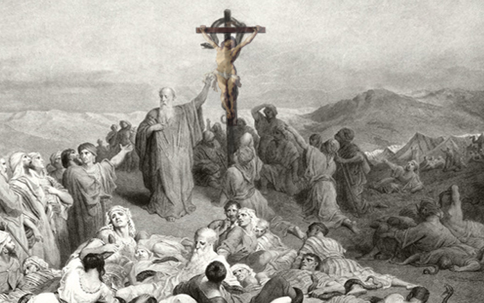 A picture containing text, outdoor, nature