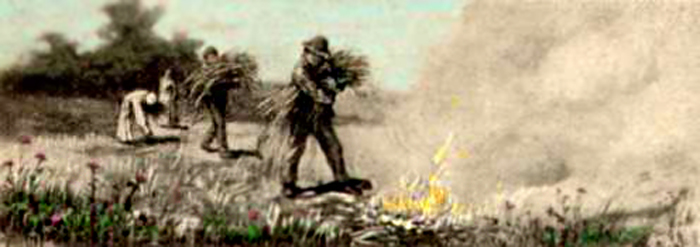 A picture containing text, grass, outdoor