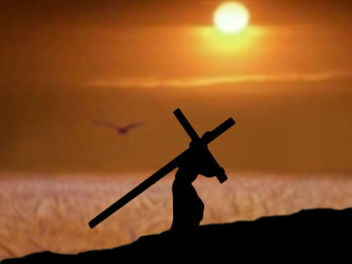 The Cost of Discipleship